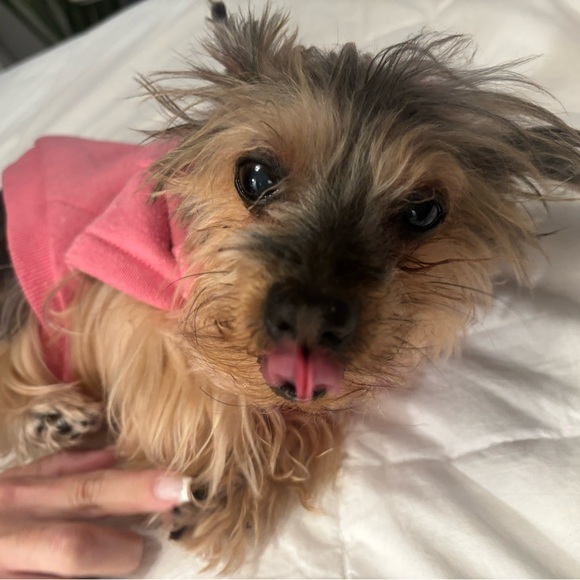 Meet your Posher, Regina - Picture 1 of 1